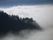 Fotos/AUT/Steiermark/Grazer Bergland/Rote Wand/Spekulatius/